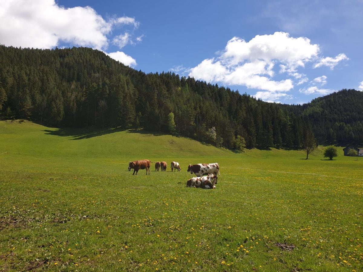 Bauernhof Moar Daire Kernhof Dış mekan fotoğraf